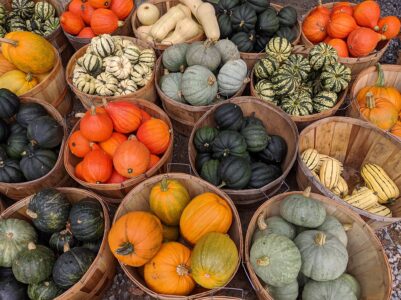 Heirloom Winter Squash Varieties Image